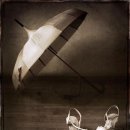 bird(버드)