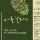 노니카페