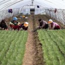 대동약방 이미지