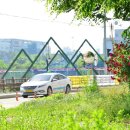 들꽃피는 아침풍경 이미지