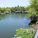 꿈의 정원 이미지