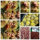 대경농장2 이미지