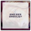 걷자의원 이미지