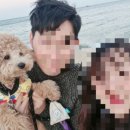 경포딩가펜션 이미지