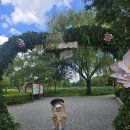 오리나라 선산점 | 《부여》대표관광지 필수코스 궁남지(ft.수륙양용버스 운영중단)