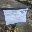 장경리해변 야영장 | No.80 인천 영흥도 십리포해수욕장캠핑장 (2025.10.11~12)