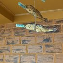 아인민박 | 남해 숙소 아인민박 펜션 솔직후기 솥뚜껑 삼겹살 먹으며 촌캉스