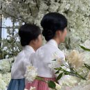 수빈헤어& 메이크업 | w. 더바실리움 혼주헤메 후기 [수빈헤어메이크업]