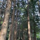 요메기섬현재식당 이미지