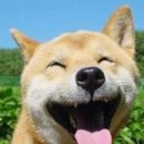 안녕하세요 이미지