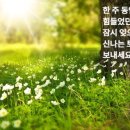 마곡황금부동산공인중개사사무소 이미지
