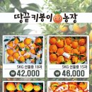 봉이농장 이미지