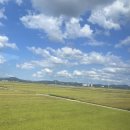 미래닭집 | 전주 반나절 나들이 ( 조점례 남문 피순대 &gt; 한국닭집 &gt; 카카오프렌즈 전주한옥마을점 &gt; 전주월드컵...