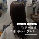 파우스애견미용실 | 부래미헤어 산격점 클리닉 받고 왔어요(by.연지 디자이너)💆🏻‍♀️ | 대구경대북문 미용실 추천