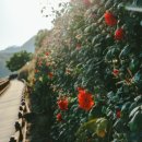 오학식당 이미지