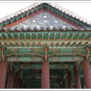 단청 Daum카페