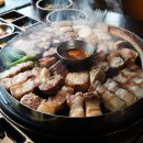 토실돼지