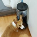대중메디팜 네이버블로그