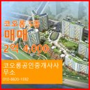 코오롱공인중개사사무소 네이버블로그