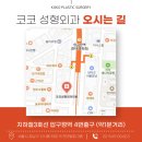 코코성형외과의원 네이버블로그