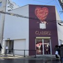 뽑기상점 | 루이까또즈 성수동팝업 ‘끌로델, 시간의 상점’ 방문 후기