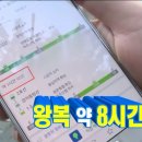 [주문진] 1월1일마다 복받으러 가는 복어회 맛집 해미네집 복어지리 포장 후기