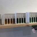 옛도담 숯불갈비 이미지