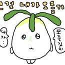 고운세상김양제장봉석피부과의원 네이버블로그