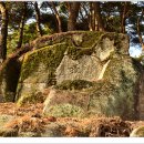 상야1리 이미지