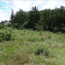 상예동-12 이미지