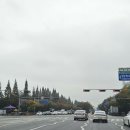 정왕대로 이미지