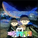 제주도 밤에 가볼만한곳 애월 야간명소 포토스팟 제주불빛정원
