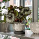 베델약국 이미지