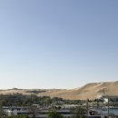 나일약국 이미지