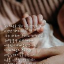 편안식당 이미지