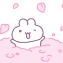 과천식빵 이미지