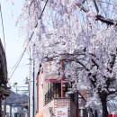 하미수