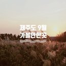 가을코스 이미지