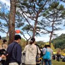 김밥천국김밥인 | 지역축제ㅣ또! 가고 싶은 2025 김천 김밥축제 솔직 후기 2탄.(스압주의) Feat 첫 날 8만명 방문?!