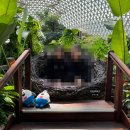 거제제일고등학교 | 2026 MBN 마라톤 - 거제 블루레이스 4km 참가 후기