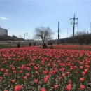 낙동강관리본부 화명생태공원 4 이미지