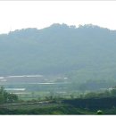 도라산전망대카페