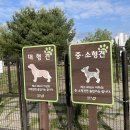 문암생태공원(반려견놀이터) 이미지