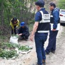 강원산약초산나물