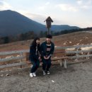 들국화찻집 이미지