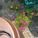 산아래 쉬는집 이미지