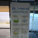 플레이점핑클럽 장검점 | 안성cc - 4월 9일 벚꽃 라운딩 (살짝 아쉬운....)