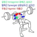 Zerone Gym 이미지