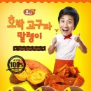 건강한세상 이미지