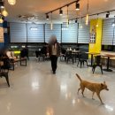 바로나도 수원영통 이미지